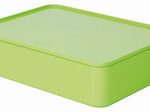 HAN Aufbewahrungsbox 26,0 x 19,5 x 6,8 cm grün