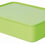 HAN Aufbewahrungsbox 26,0 x 19,5 x 6,8 cm grün