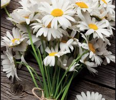 SIGEL Grußkarten DS105 DIN A6