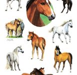 AVERY Zweckform Aufkleber Pferde