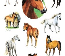 AVERY Zweckform Aufkleber Pferde