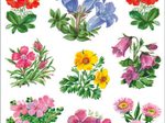 HERMA Aufkleber Blumen