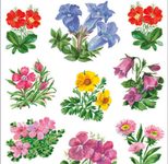 HERMA Aufkleber Blumen