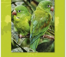 Edition Dürer Zeichenblock DIN A4 18 Blatt