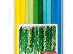 WEROLA Krepppapier Maritim 31 g/m² farbsortiert