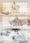 HERMA Schuletiketten Katzen
