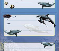 HERMA Schuletiketten Delfine