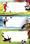 HERMA Schuletiketten Fussball