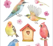HERMA Aufkleber Vögel
