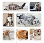 HERMA Aufkleber Katzen
