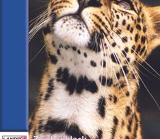 LANDRÉ® Zeichenblock DIN A4 10 Blatt