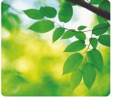 Fellowes Mousepad Blätter