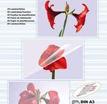 OLYMPIA Laminierfolien glänzend 80 mikron A3