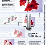 OLYMPIA Laminierfolien glänzend 80 mikron A3