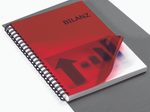 RENZ Deckfolien für Bindemappen DIN A4 0.2 mm rot