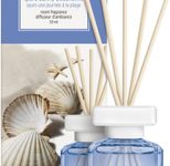 ipuro Raumduft Minze, weißer Moschus 50 ml