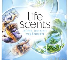 AIRWICK Raumduft Treibholz, Gischt, Warme Brise 30 ml