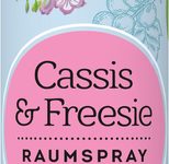 GUT&GÜNSTIG Raumspray Cassis & Freesie 300,0 ml