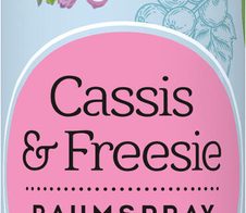 GUT&GÜNSTIG Raumspray Cassis & Freesie 300,0 ml