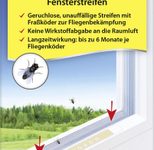 Aeroxon Fliegenfalle transparent