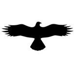 SafetyMarking® Hinweisaufkleber 36.7 cm x 14.5 cm