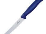 VICTORINOX Gemüsemesser Swiss Classic silber, blau