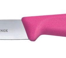 VICTORINOX Gemüsemesser Swiss Classic silber, pink