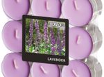 FLAVOUR by GALA Teelichter 1.7 cm violett