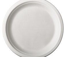 PAPSTAR pure Zuckerrohr-Teller weiß