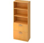 HAMMERBACHER Regalschrank 7300 NU, V7300/6/6/NU buche