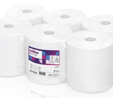 wepa Handtuchrollen 2-lagig hochweiß