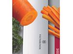VICTORINOX Debamesser Swiss Classic silber