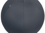 LEITZ Ergo Cosy Sitzball grau 65,0 cm