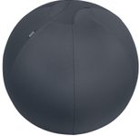 LEITZ Ergo Cosy Sitzball grau 65,0 cm