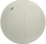 LEITZ Ergo Active Sitzball hellgrau 65,0 cm