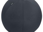 LEITZ Ergo Active Sitzball dunkelgrau 65,0 cm