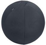 LEITZ Ergo Active Sitzball dunkelgrau 65,0 cm