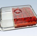chg Frischhalteplatte 8.5 cm hoch silber, transparent