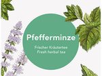 Dallmayr Pfefferminze