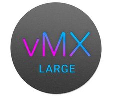 Cisco Lizenz VMX Enterprise L 1 Jahr