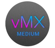 Cisco Lizenz VMX Enterprise M 3 Jahre