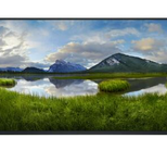 Dell P2425HEWO Monitor (24 Zoll) 61cm