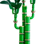 LEGO® Botanicals 10344 Glücks-Bambus