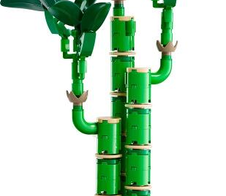 LEGO® Botanicals 10344 Glücks-Bambus