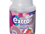 Extra® Professional Mints Waldfrucht