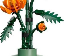 LEGO® Botanicals 10368 Chrysantheme