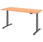 HAMMERBACHER Schreibtisch VXDSM19/6/G buche