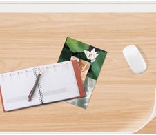 cep Schreibtischunterlage 58,5 x 38,5 cm weiß/buche