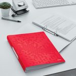 LEITZ Ringbuch 2-Ringe DIN A4 3.2 cm rot