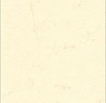 RNK-Verlag Motivpapier Elefantenhaut 190 g/m² chamois